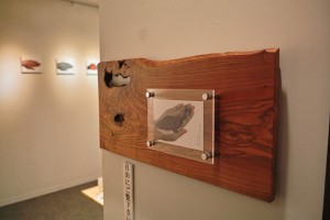 SDIM0932
