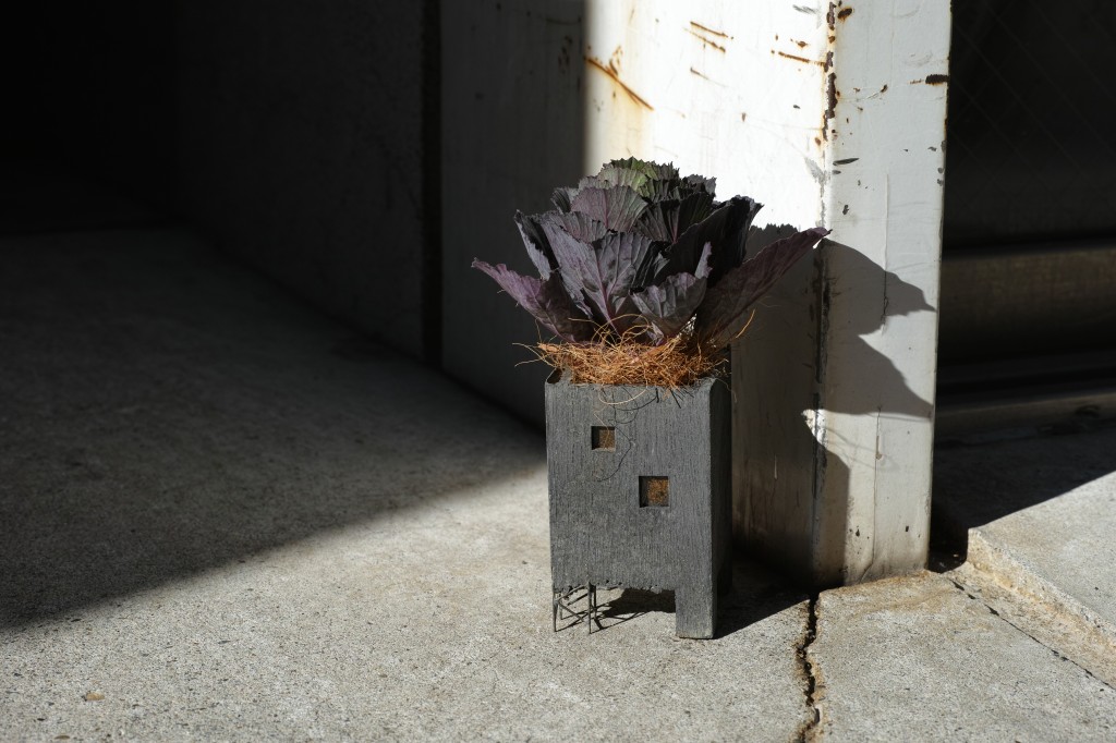 SDIM1031