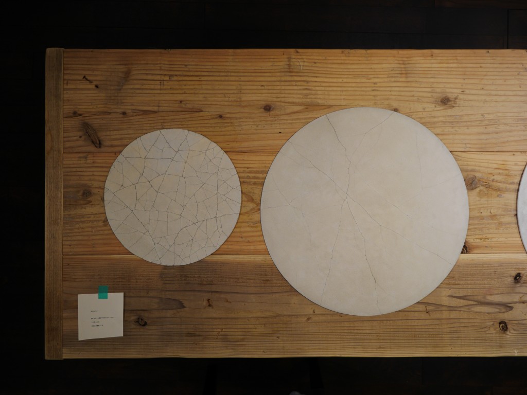 P1050103